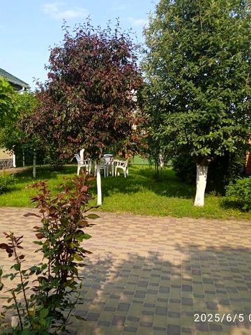 Продам будинок с. Созонівка (Опитне поле), 4км від м.Кропивницький