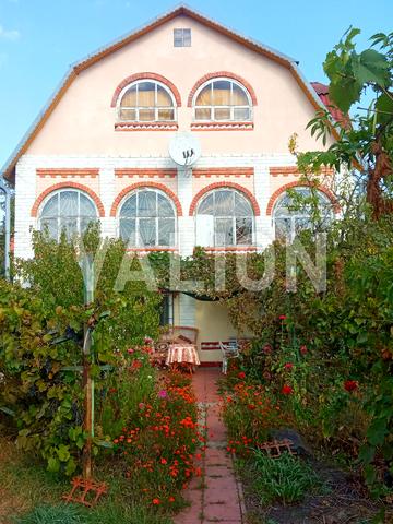 Лучиста 8, 13