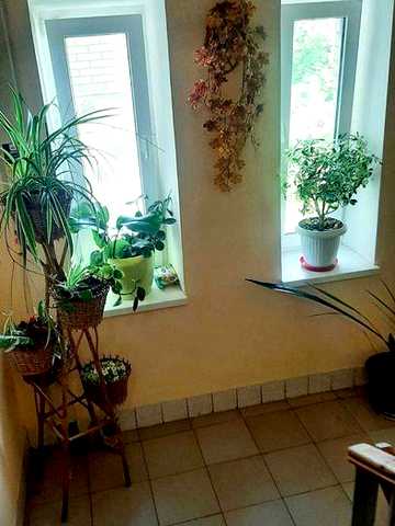 Продам 2-х кімнатну на Замості 9448