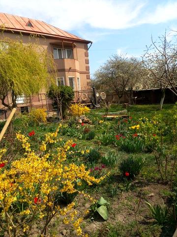 Продам дім на 40 сотках Санжійка