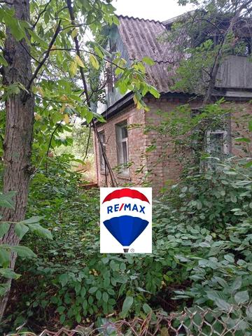 Хрізантем, 51