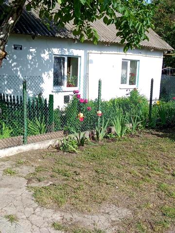 Центральна