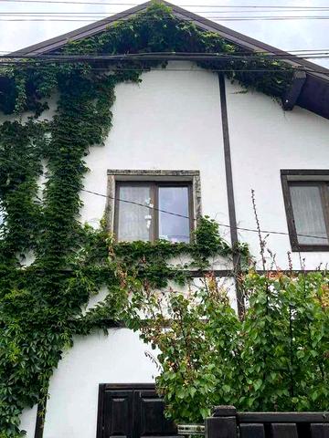 Продаж будинку з виходом у парк «Гданцівський» гарне розташування