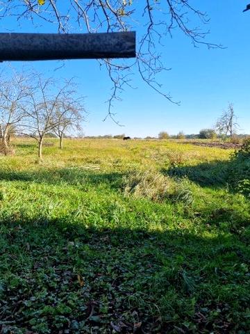 ТЕРМІНОВО будинок в ЖИТЛОВОМУ стані 20 сотих