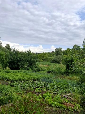 Запорізька