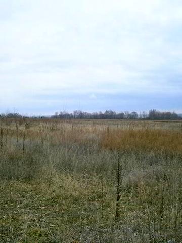 Центральна вул. (Леніна), 1