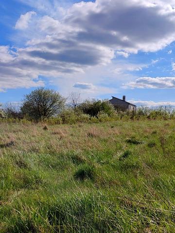 Ентузіастів