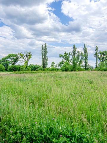 Центральна, 1