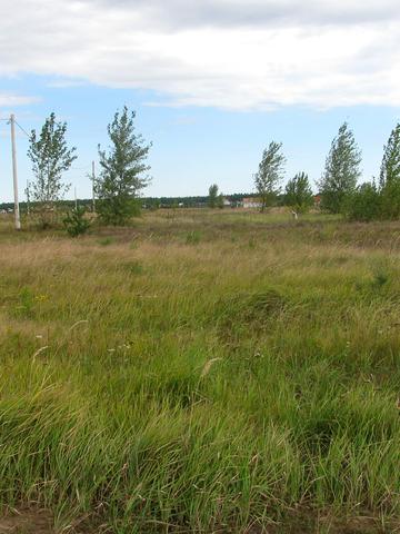 Литвинівка, Вишгородський, Київська область 3000 USD