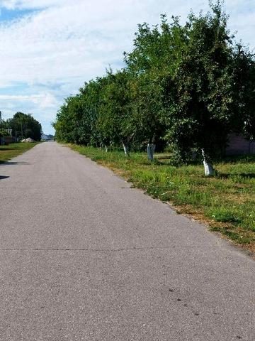 Першотравнева