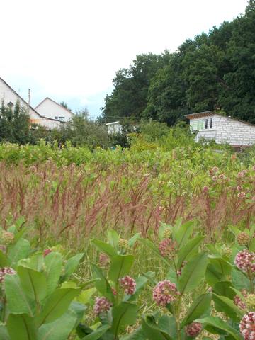 О.Береста, 16