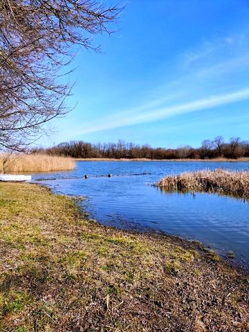 Генерала Пушкина, 119