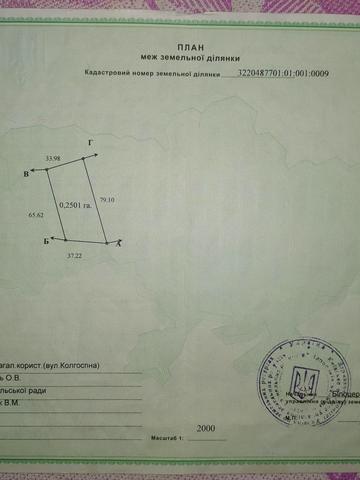 центральна, 5