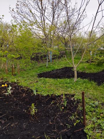 Білопільський шлях, 21