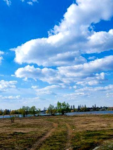 центральна