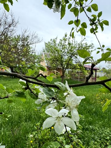 Піщанка, Новомосковський, Дніпропетровська область 10000 USD