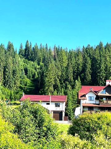 Олени Степанівни, 97