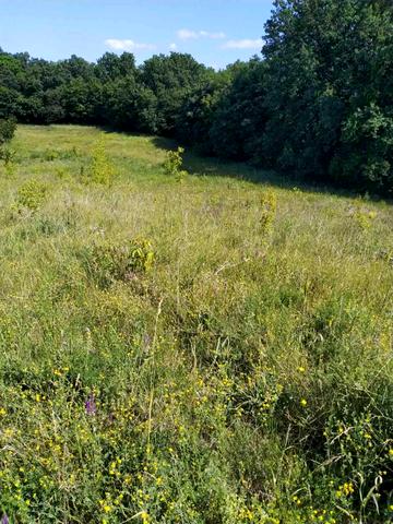 Гусачівка, Обухівський, Київська область 16000 USD