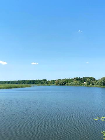 Фасівочка, Бучанський, Київська область 27000 USD