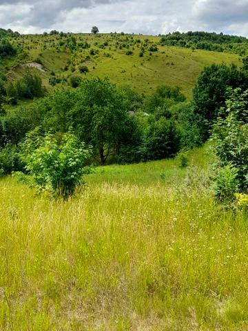 Боднарська, 72