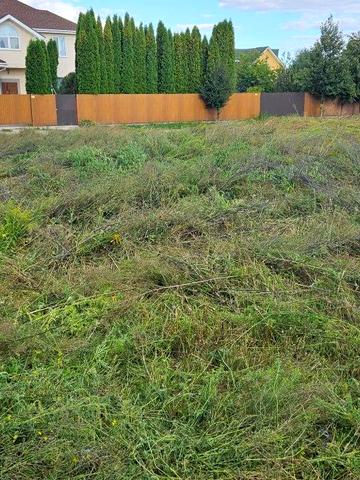 дружби/ гоголівська