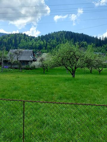 Шухевича, 24