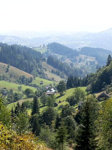 Верховина, Верховинський, Івано-Франківська область 280000 USD