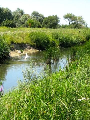 братів гуріних, 4