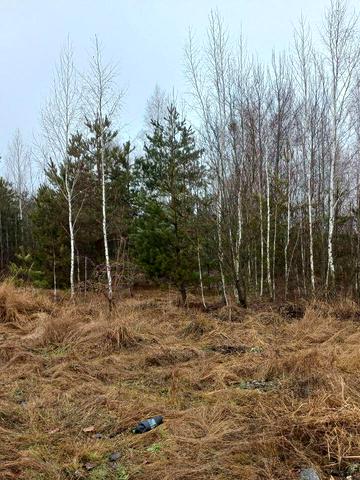 Гуйва, Житомирський, Житомирська область 4000 USD