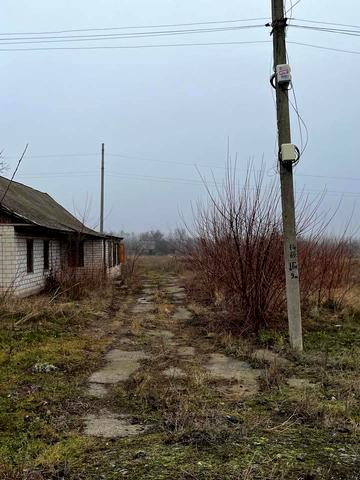 абельханова