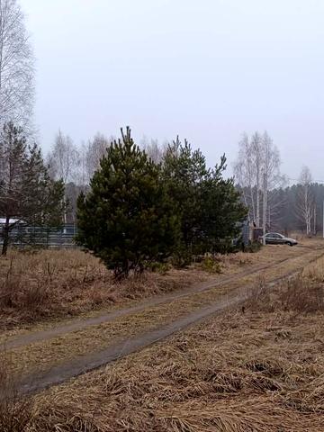 Козаровичі, Вишгородський, Київська область 160000 USD