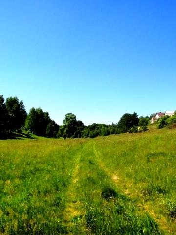 Креничі, Обухівський, Київська область 12000 USD