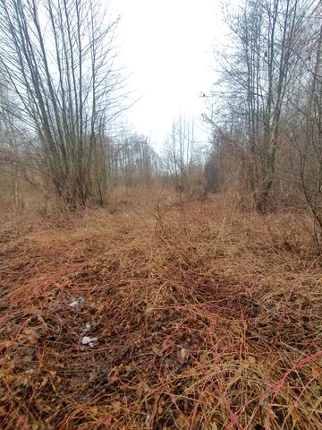 Новосілки, Фастівський, Київська область 175000 USD