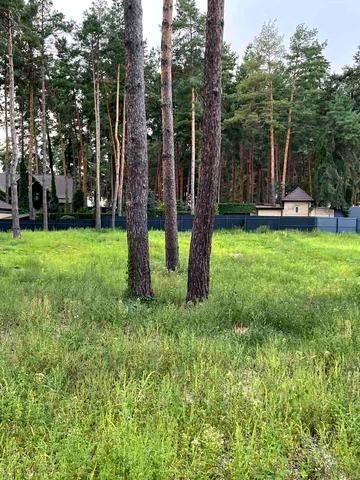 Сосновий Бір вул.