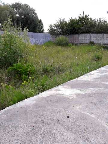 Микала
