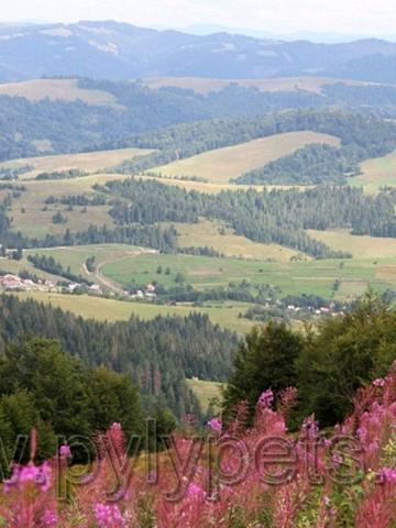 Пилипець, Хустський, Закарпатська область 18000 USD