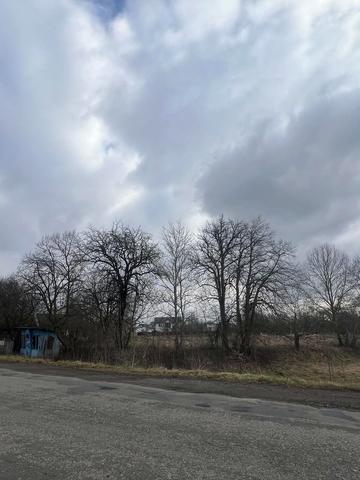 Грушевського, 35