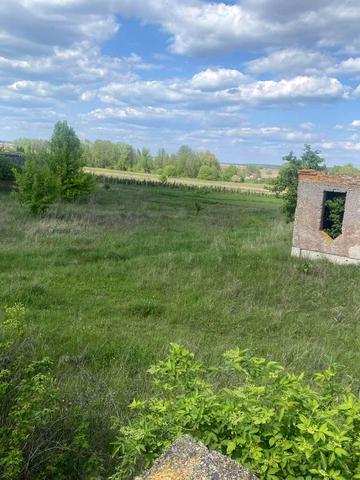 Брусилів, Житомирський, Житомирська область 2700 USD