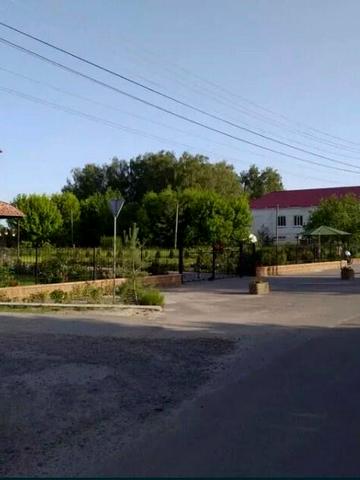 Шевченкове, Бучанський, Київська область 4800 USD