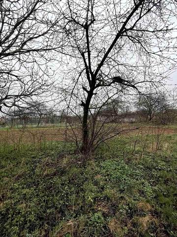 Генерала Шаповала вул. (Покришкіна)