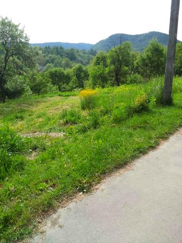 Братів Кедюличів