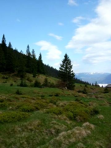 Ясіня, Рахівський, Закарпатська область 31500 USD