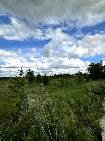 Новояворівськ, Яворівський, Львівська область 250000 USD