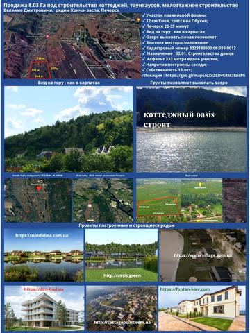 Великі Дмитровичі, Обухівський, Київська область 1690000 USD
