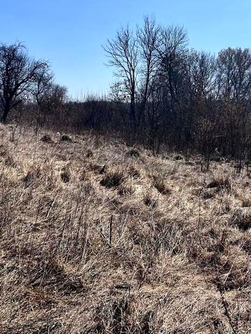 Лесі українки, 1