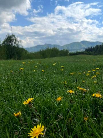 Івана франка