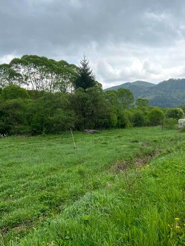 Тухля, Стрийський, Львівська область 32000 USD