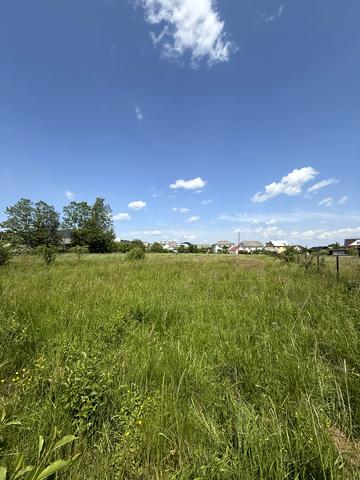 Данила Галицького вул.