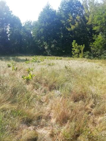 Шевченка, 16 а