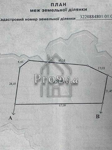 Марини Копач